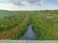 #11: Bridge over a canal