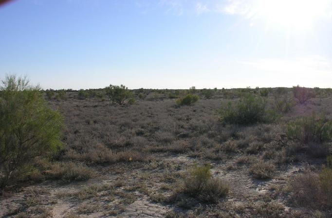 View to West