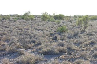 #1: View to CP46N75E