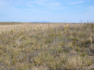 #1: The Confluence, View to the East