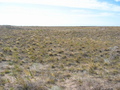 #2: View to the South