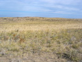 #4: View to the North
