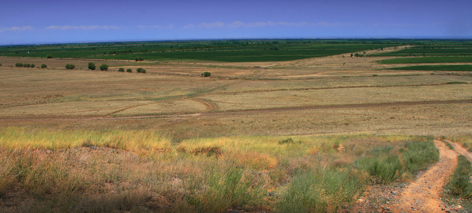 view over irrigated fields at Alakol Depression