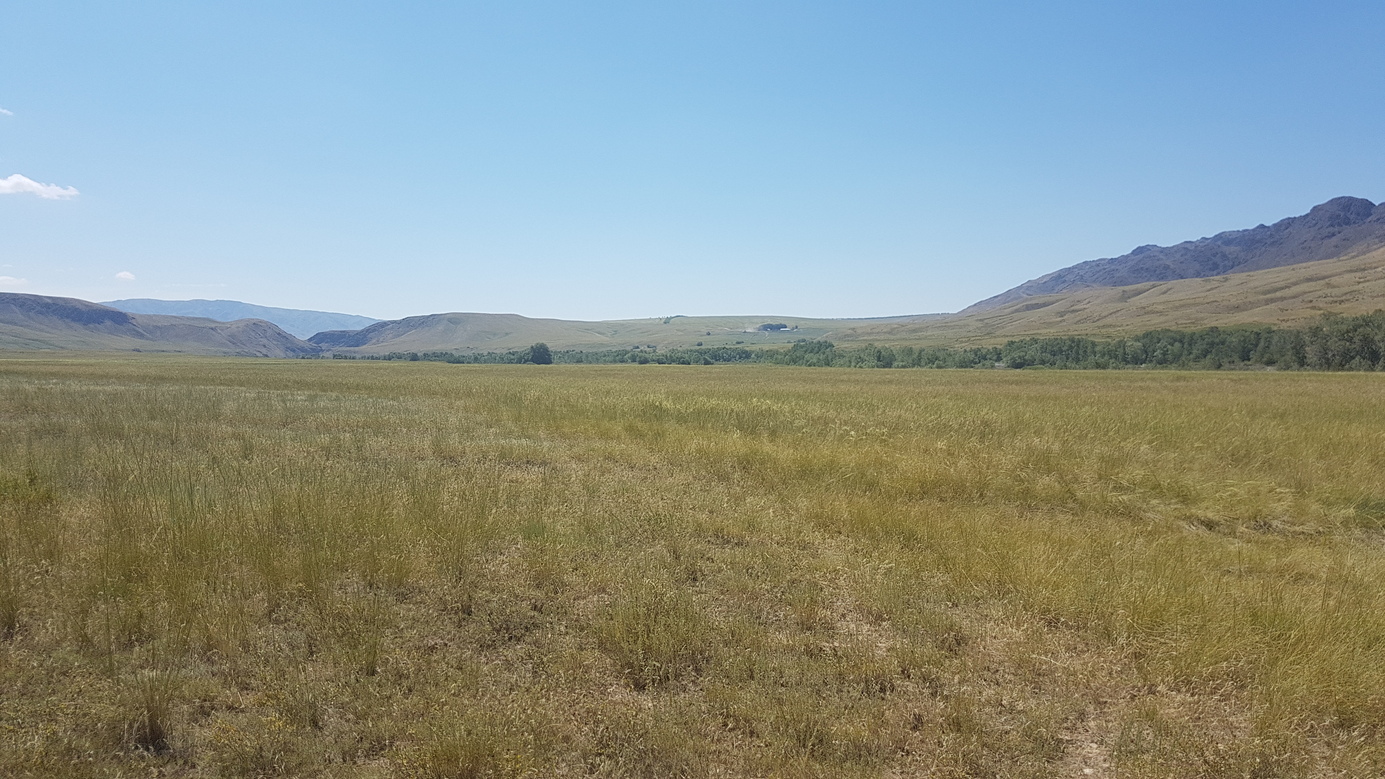 Westward - trees along Tentek and Töngkeris on opposite bank