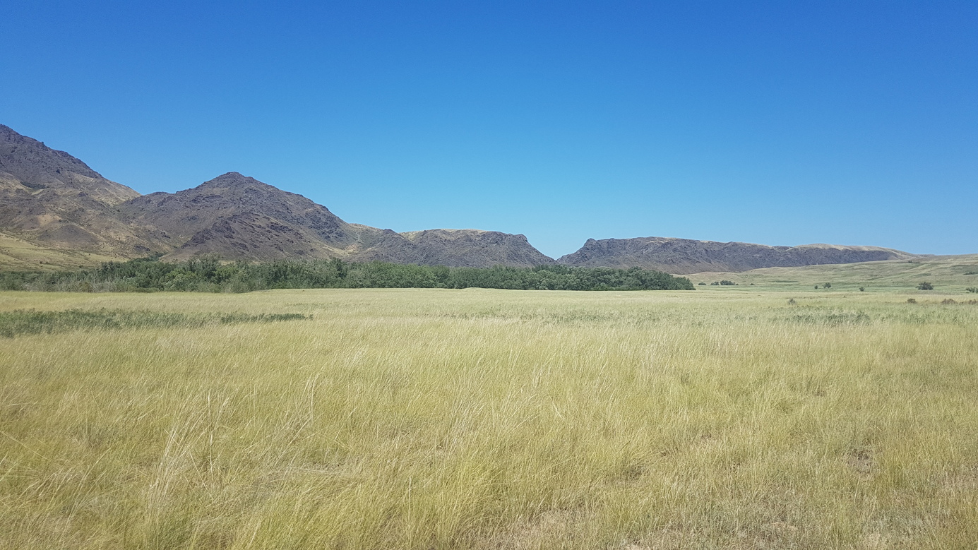 Northward - downstream breakthrough of Tentek river