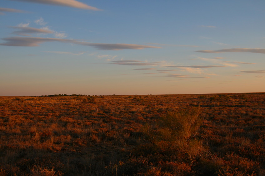 View South