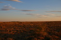 #3: View South
