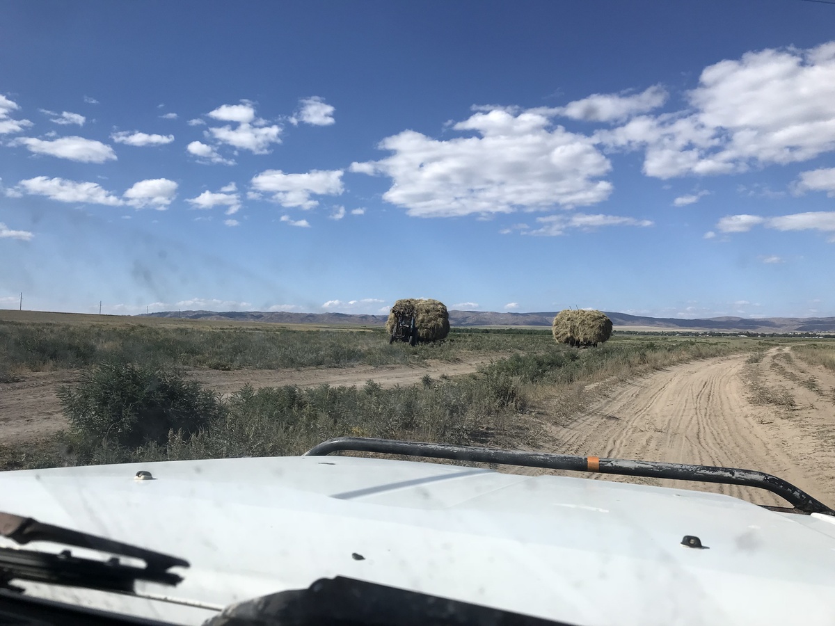 bringing in the harvest towards Aitbay