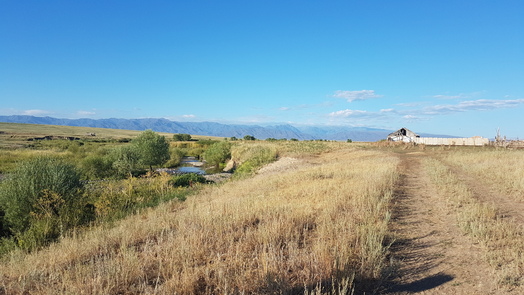 #1: Karagayly river - eastnortheast to Tarbagatay ridge - confluence point first bush on the left