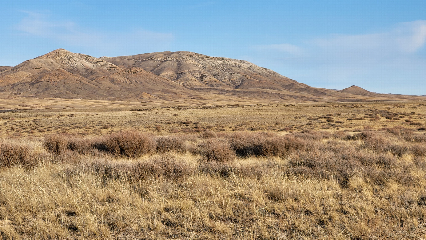 Местный пейзаж 2  / Local landscape 2