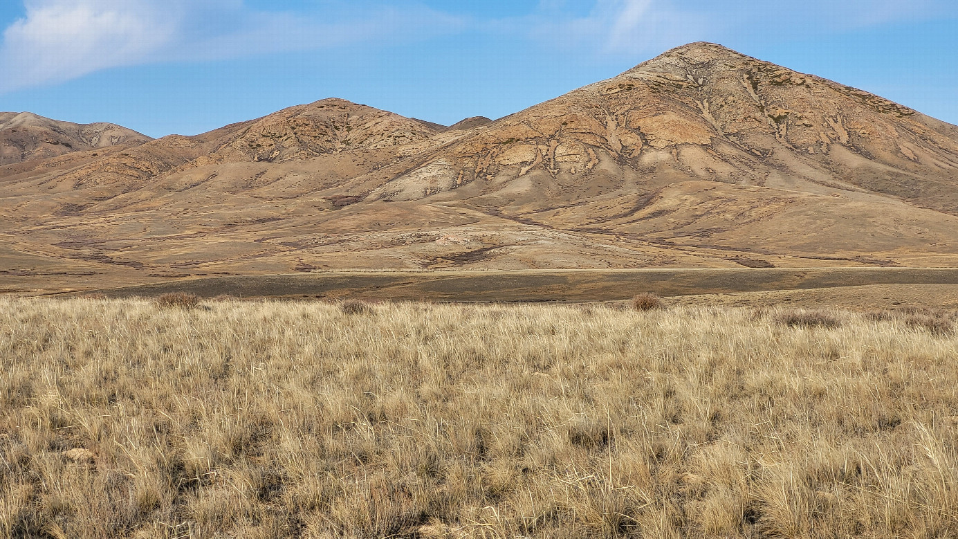 Местный пейзаж 3 / Local landscape 3
