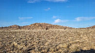 #4: Местный пейзаж 1 / Local landscape 1