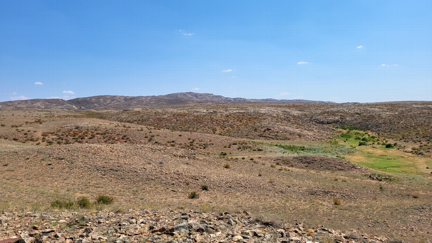 местный пейзаж / Local landscape