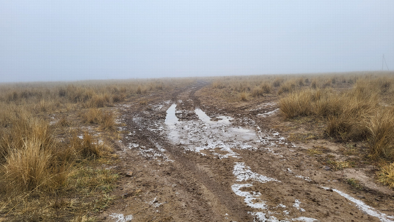 Полевая дорога / Field road