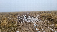 #9: Полевая дорога / Field road