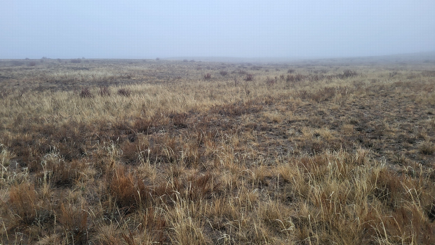 Юг / South