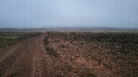 #10: Местный пейзаж / Local landscape