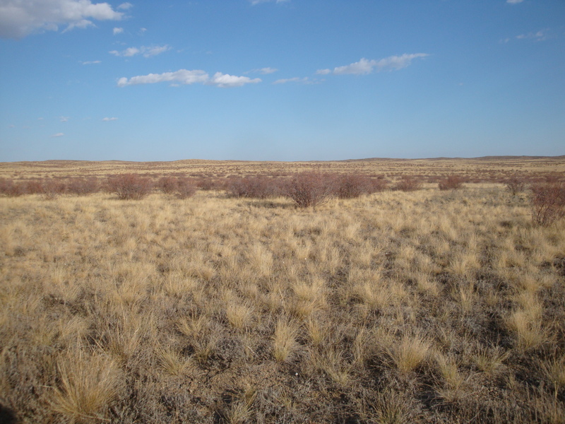 Вокруг степи / Steppe around