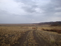 #8: Дорога / Road