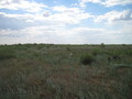 #4: West view