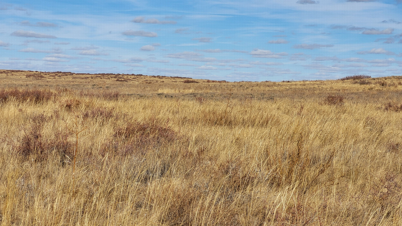 North / север