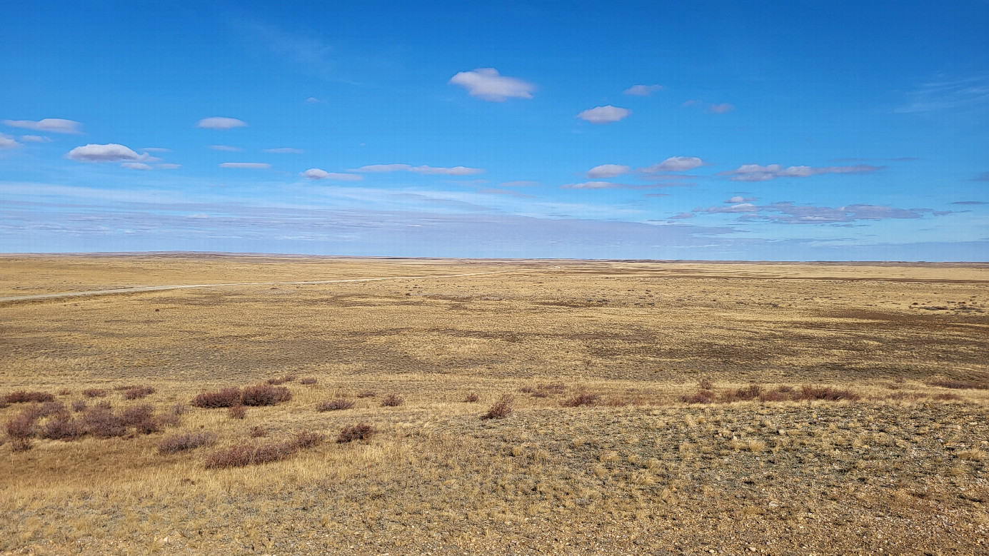 Local landscape / местный пейзаж