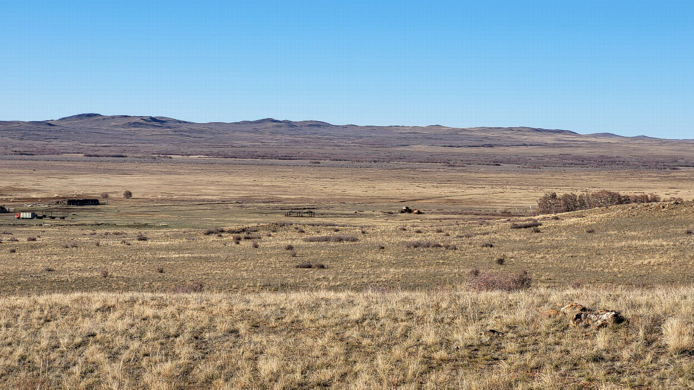 Local landscape / местный пейзаж