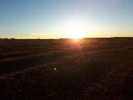 #3: Запад / West