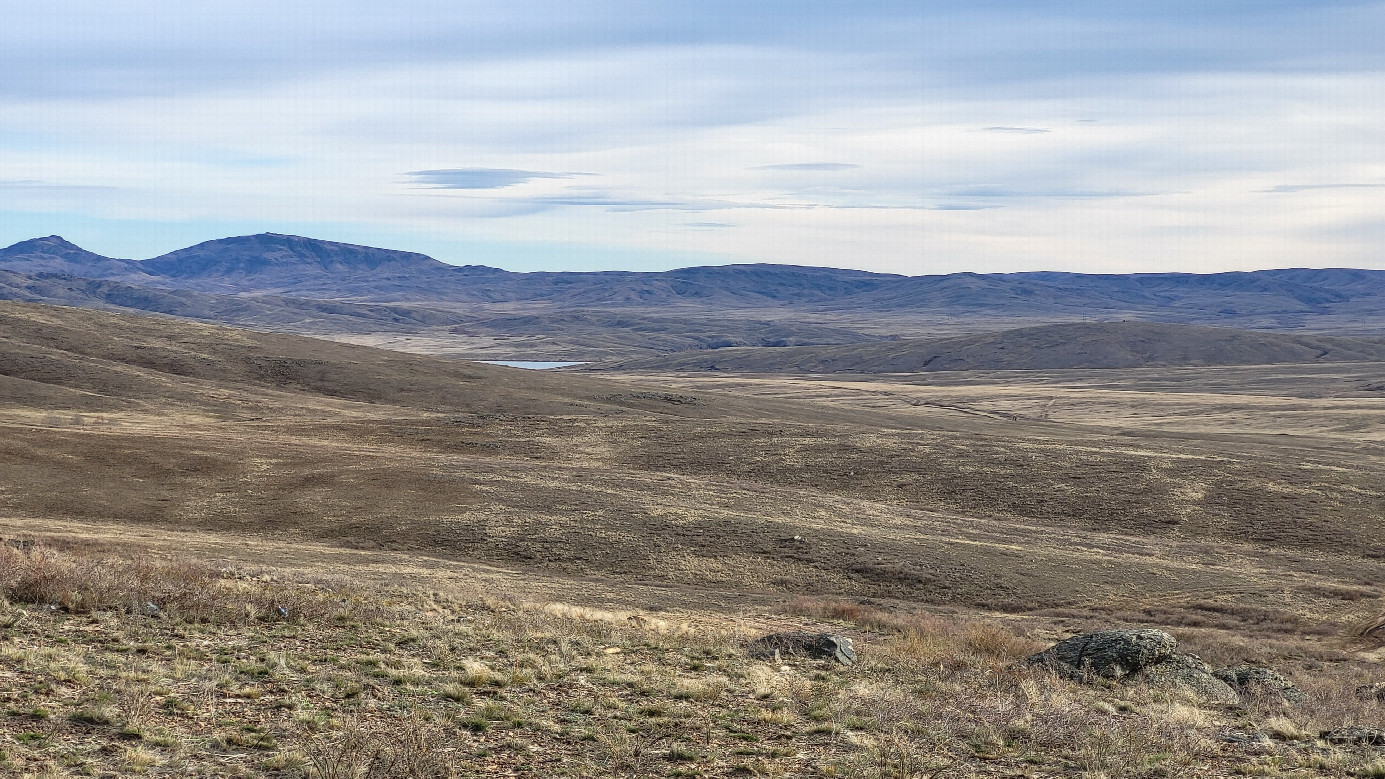 Местный пейзаж / Local landscape