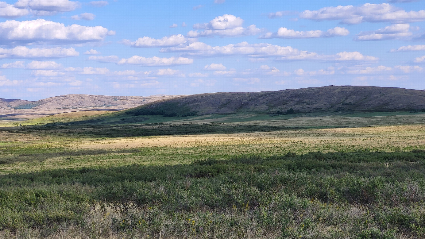 на Юг / South