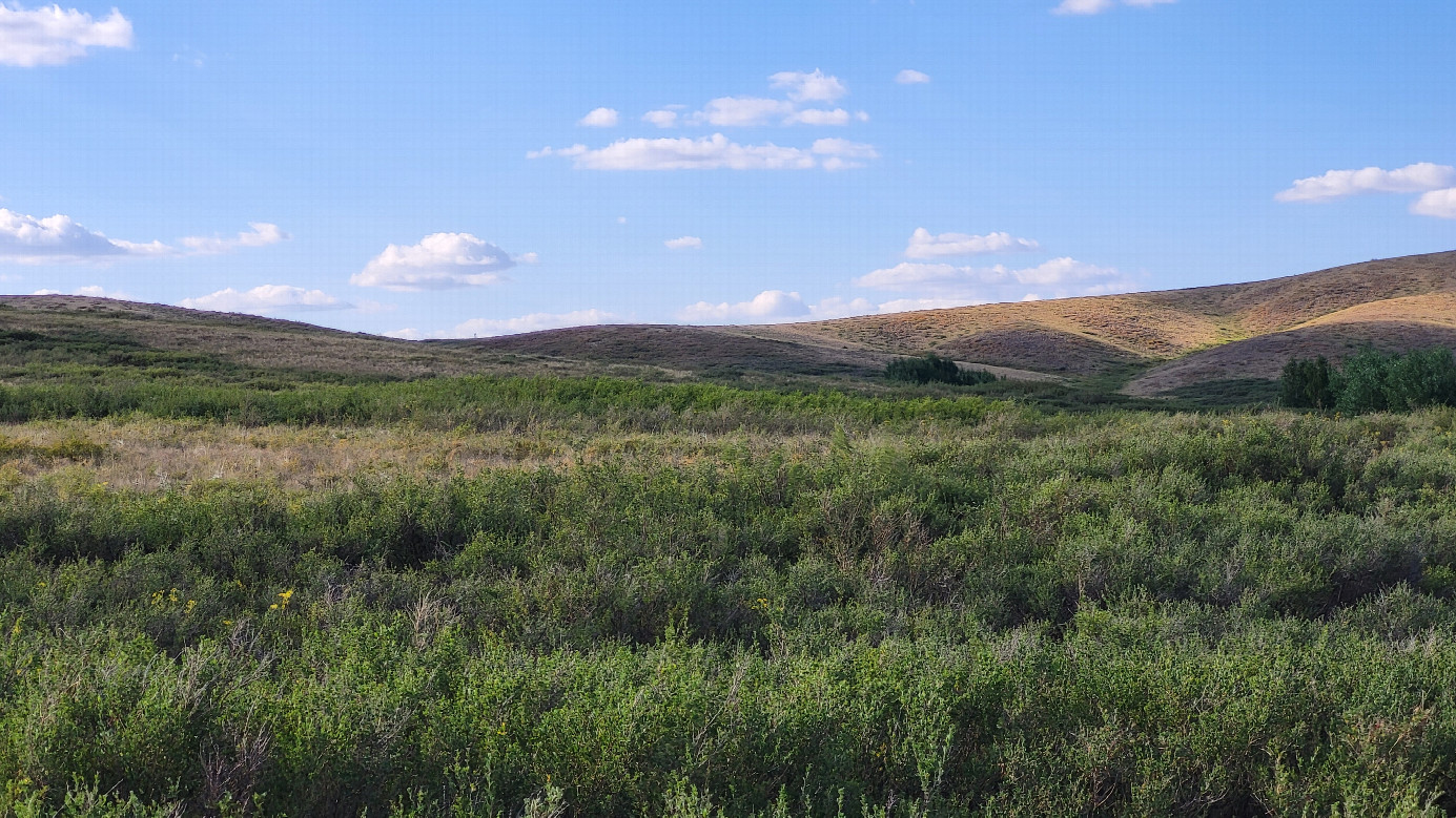 север / North