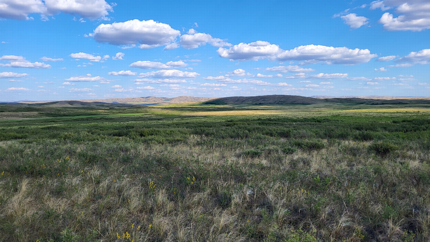 местный пейзаж / Local landscape