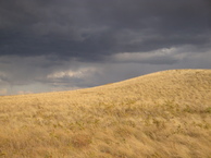 #4: На восток / East view