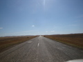 #7: Дорога / Road