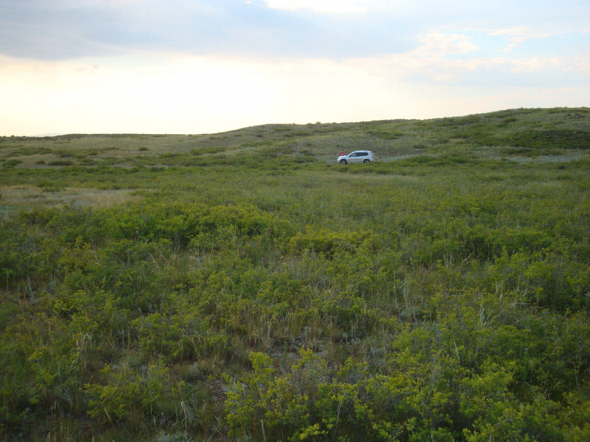 Место парковки / Parking lot