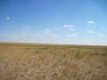 #2: East view