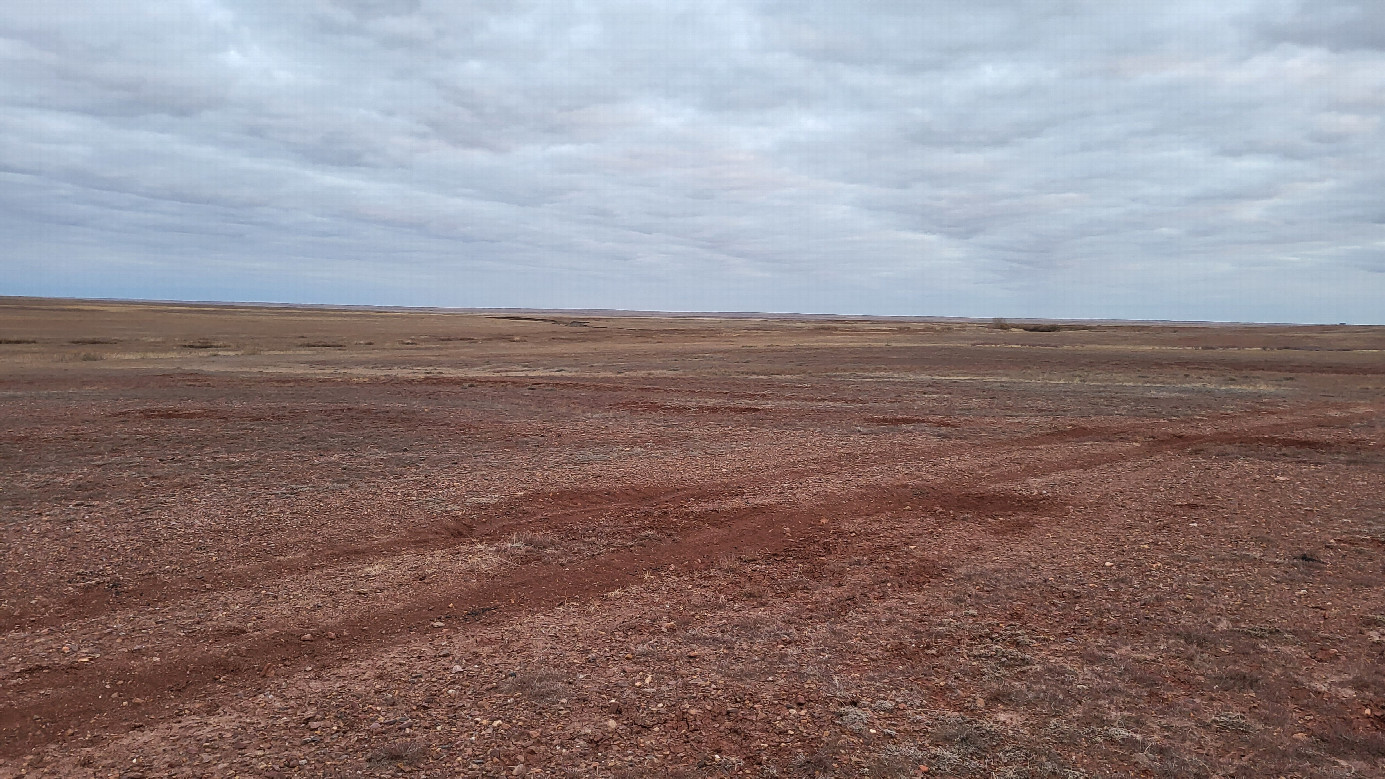 Local landscape / местный пейзаж