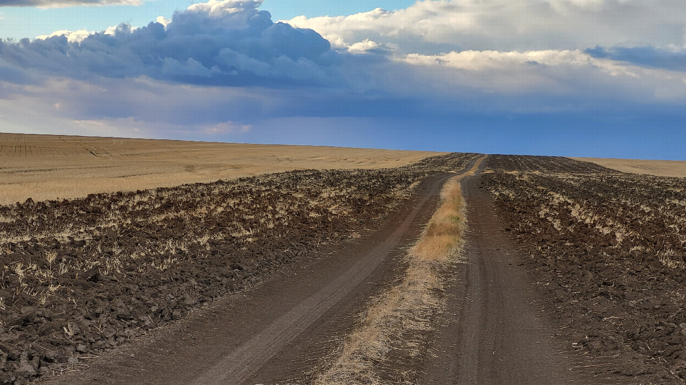 Approaching rain / приближается дождь