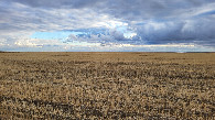 #2: South / юг
