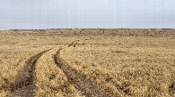 #10: Road to the CP / дорога к слиянию