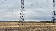 #2: South / юг