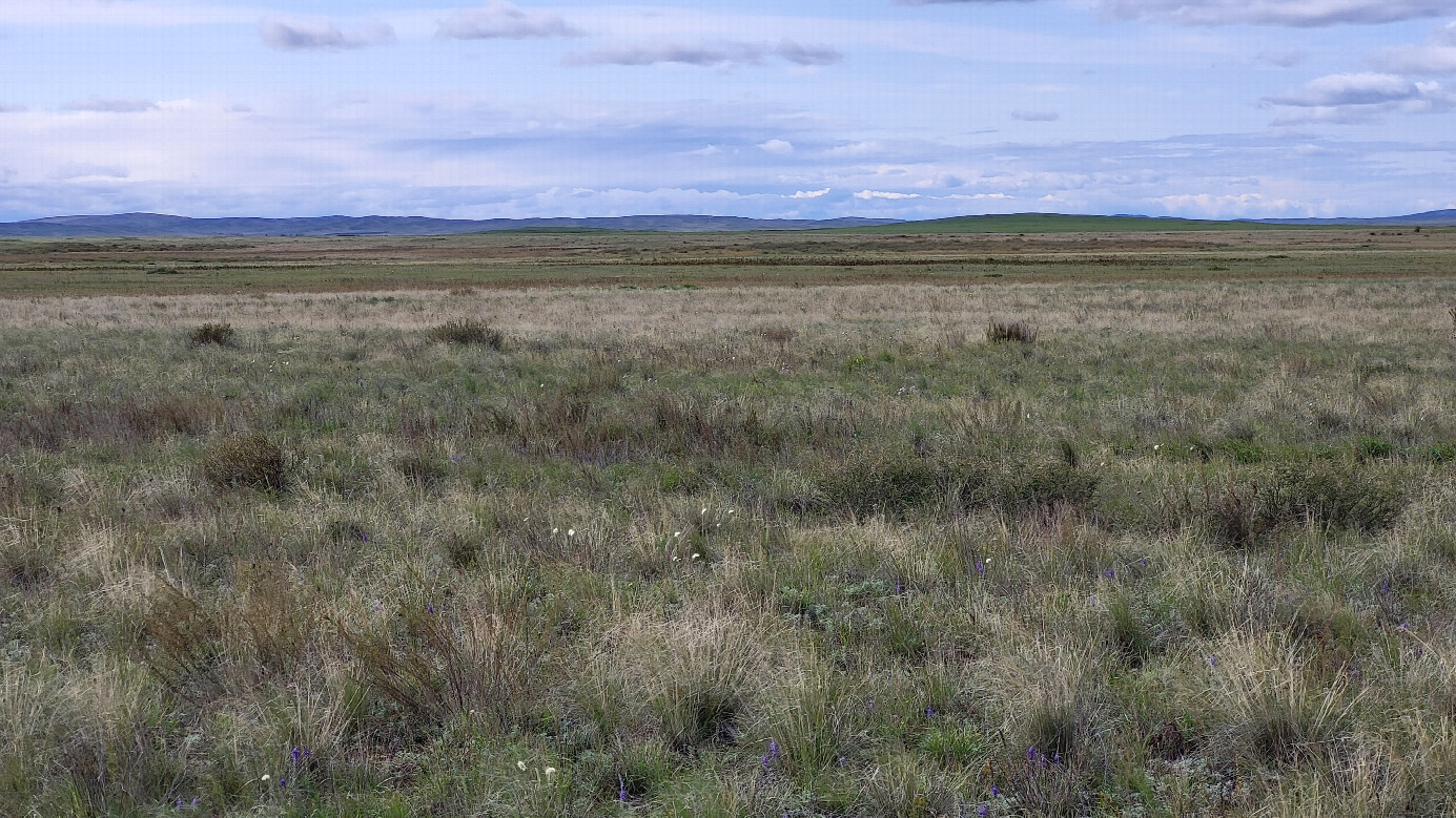Запад / West