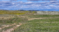 #8: Полевая дорога к пересечению / Field dirt road towards CP