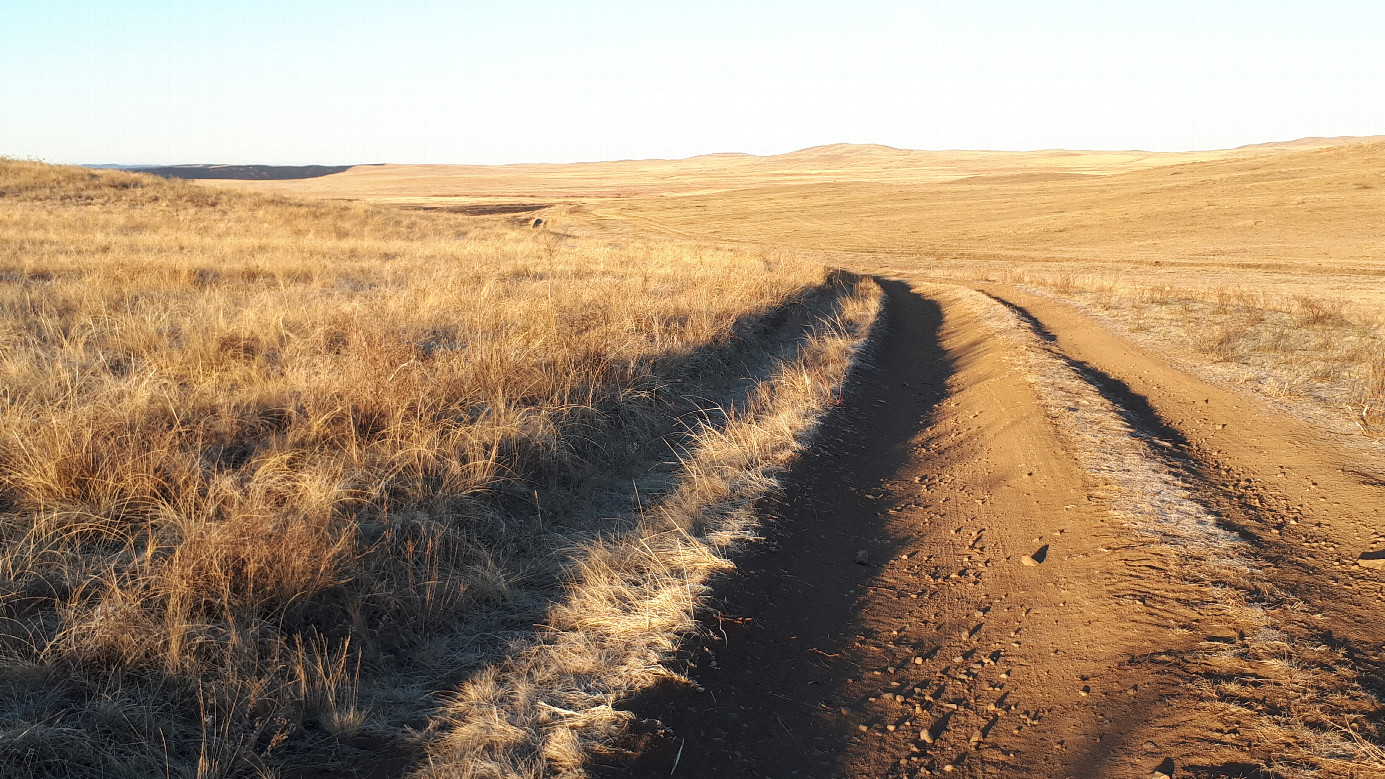 Field dirt road / полевая дорога