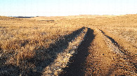 #9: Field dirt road / полевая дорога
