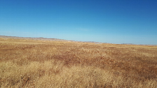 #1: Confluence view from 1.3 km distance /  вид в сторону пересечения с расстояния 1,3 км