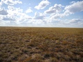 #5: Looking west