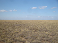 #4: На запад / West view