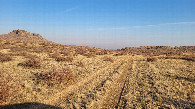 #10: Dirt field road / полевая дорога
