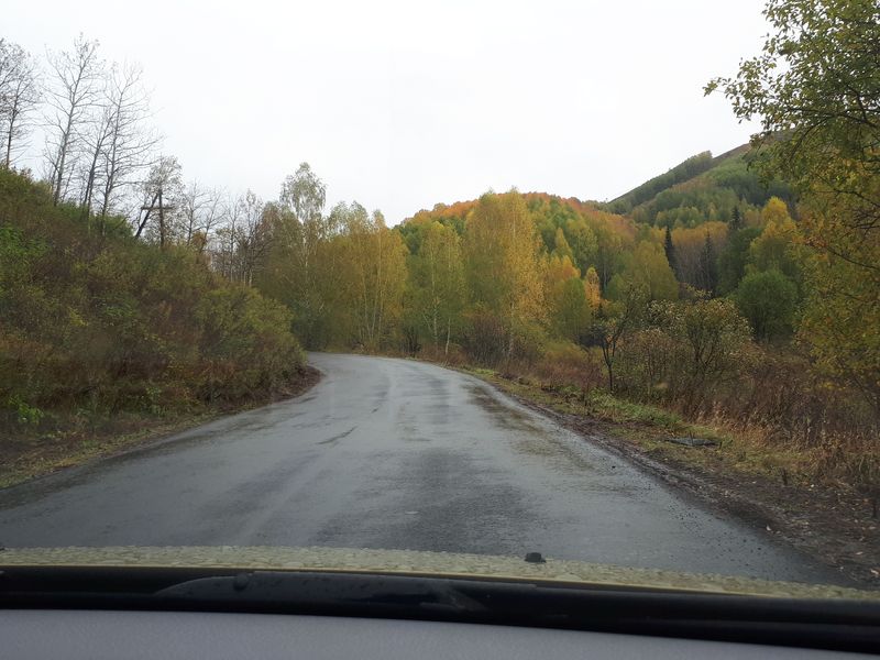 Предгорье Алтая / Foothills of Altai